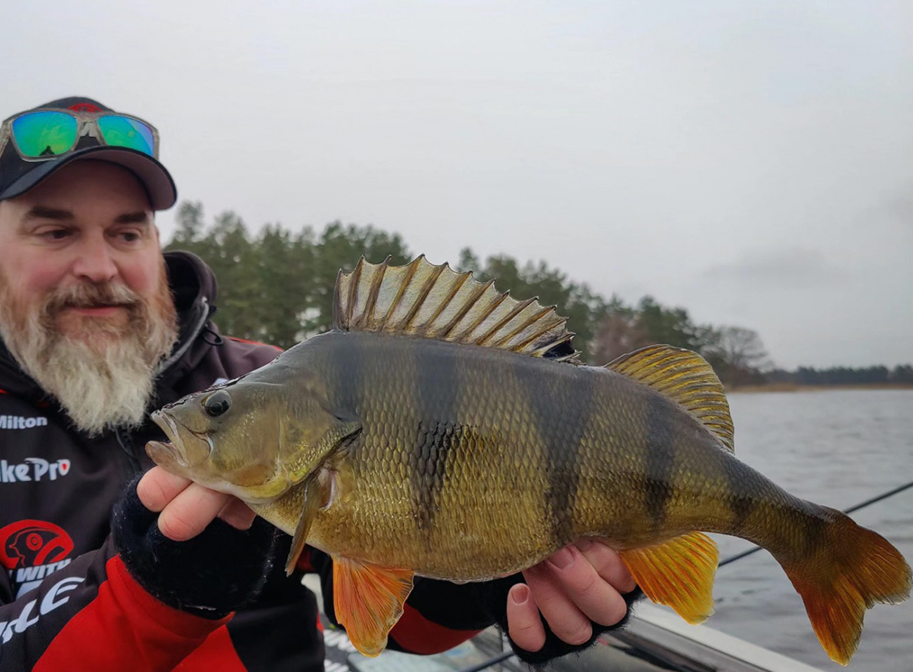 Strike Pro Pig Pickle 8cm 3,1g